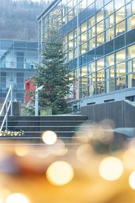 Weihnachtsbaum
