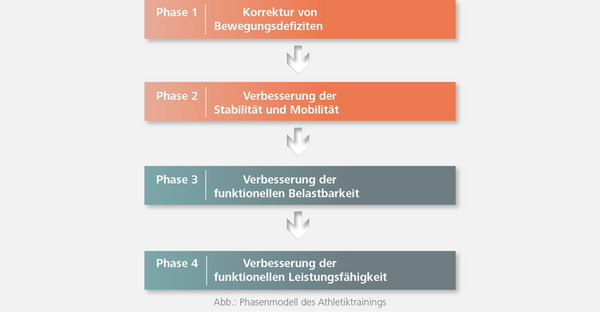 Das Phasenmodell des Athletiktrainings